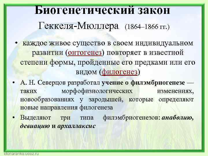 Биогенетический закон Геккеля-Мюллера (1864– 1866 гг. ) • каждое живое существо в своем индивидуальном