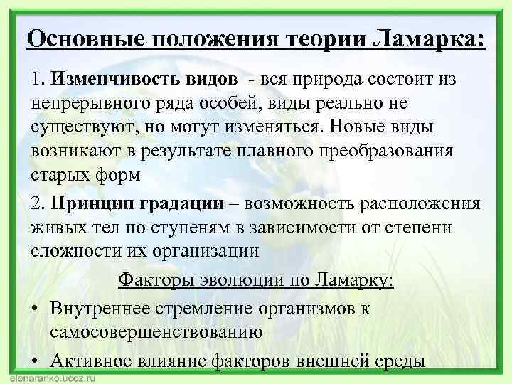 Основные положения теории Ламарка: 1. Изменчивость видов - вся природа состоит из непрерывного ряда