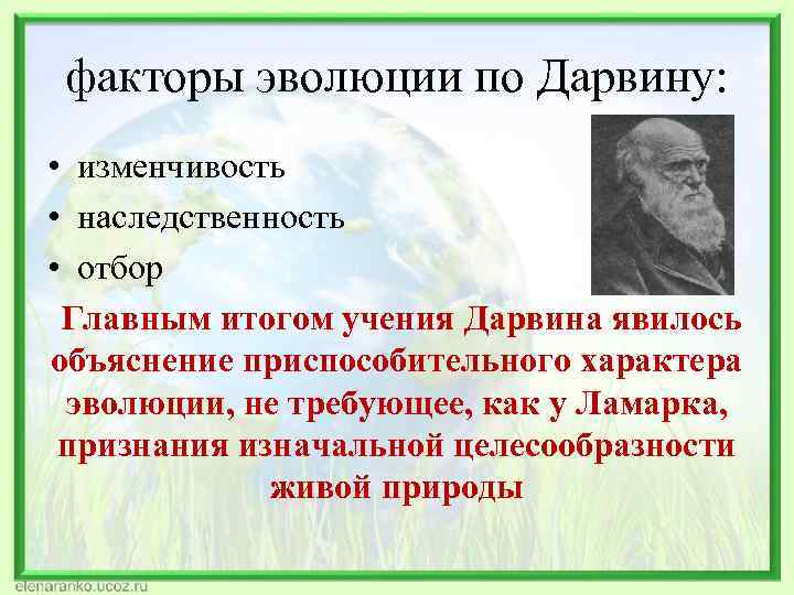 факторы эволюции по Дарвину: • изменчивость • наследственность • отбор Главным итогом учения Дарвина