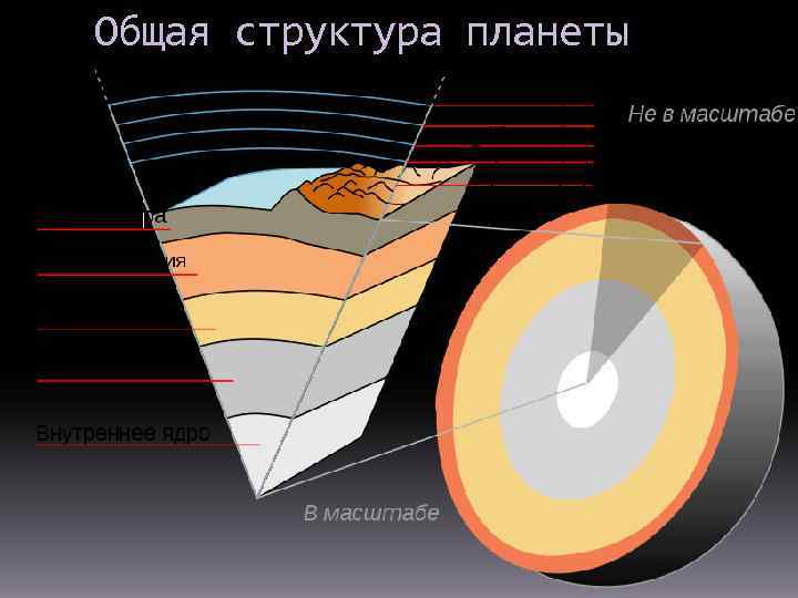 Общая структура планеты 