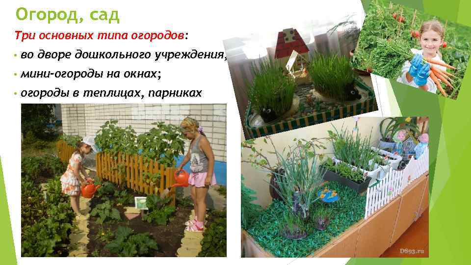 Огород, сад Три основных типа огородов: • во дворе дошкольного учреждения; • мини-огороды на