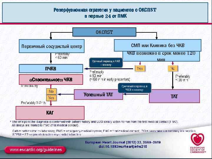 Реперфузионная карта образец