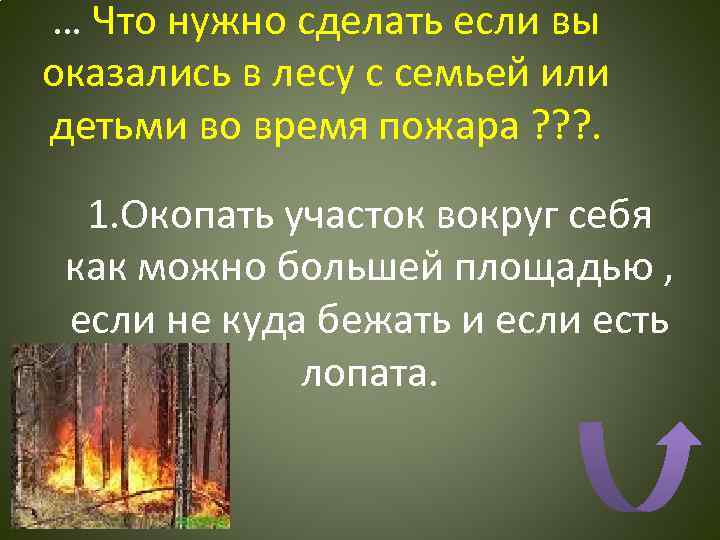 … Что нужно сделать если вы оказались в лесу с семьей или детьми во