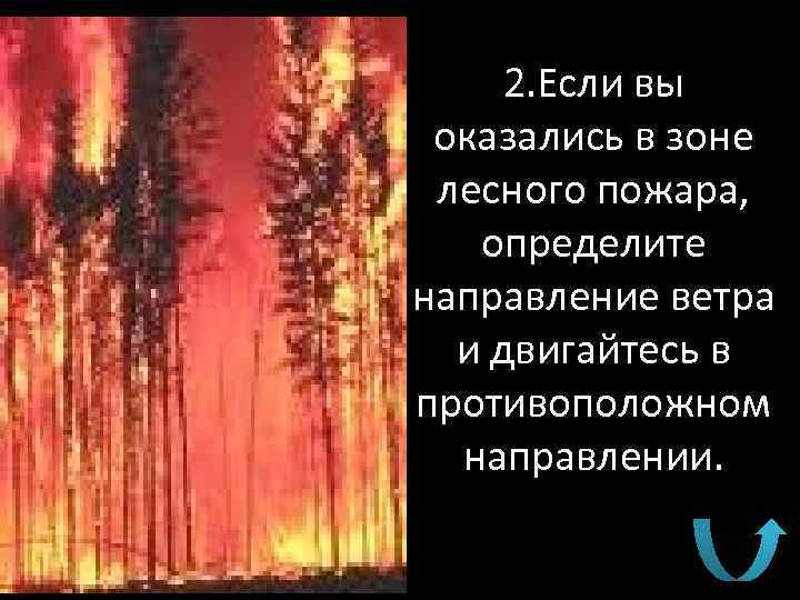 2. Если вы оказались в зоне лесного пожара, определите направление ветра и двигайтесь в
