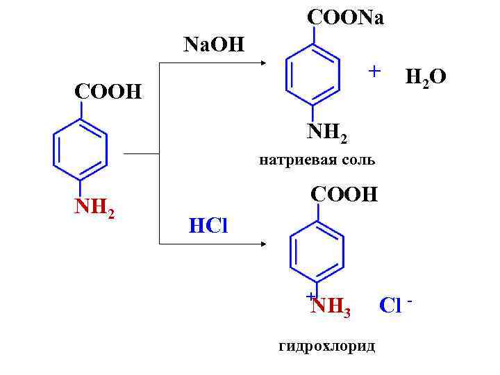 COONa Na. OH + COOH H 2 O NH 2 натриевая соль NH 2