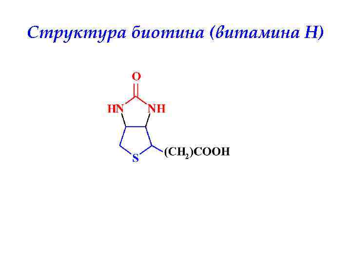Структура биотина (витамина H) 