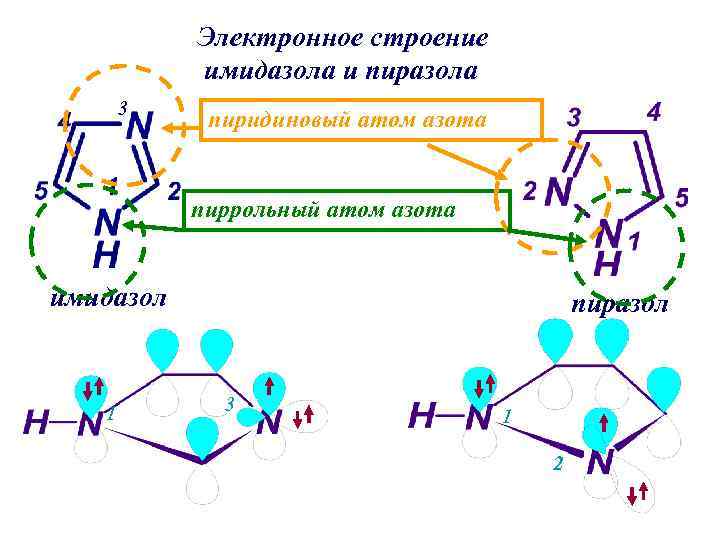 Электронное строение имидазола и пиразола 3 пиридиновый атом азота пиррольный атом азота имидазол 1