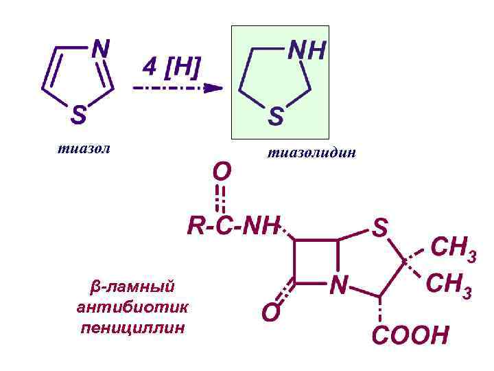 тиазол β-ламный антибиотик пенициллин тиазолидин 