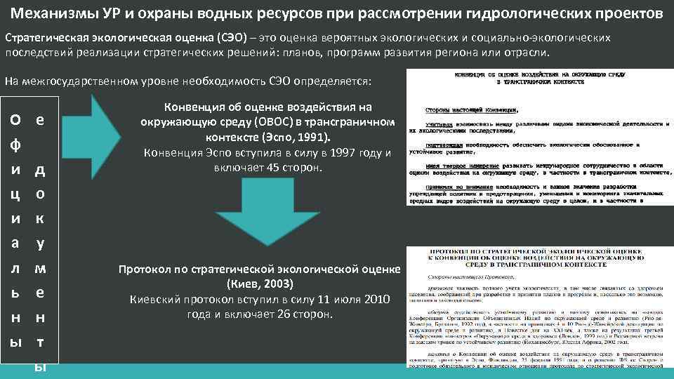 Механизмы УР и охраны водных ресурсов при рассмотрении гидрологических проектов Стратегическая экологическая оценка (СЭО)