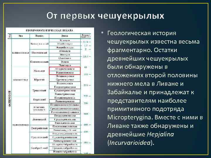 От первых чешуекрылых • Геологическая история чешуекрылых известна весьма фрагментарно. Остатки древнейших чешуекрылых были