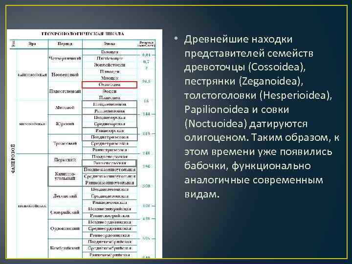  • Древнейшие находки представителей семейств древоточцы (Cossoidea), пестрянки (Zeganoidea), толстоголовки (Hesperioidea), Papilionoidea и