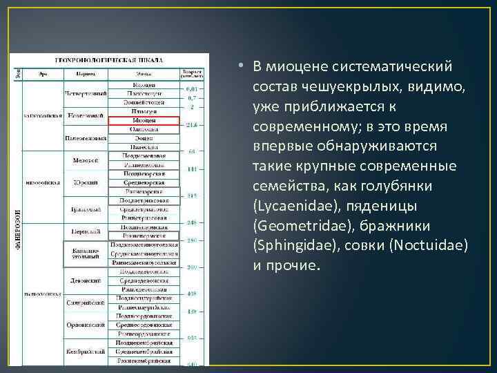  • В миоцене систематический состав чешуекрылых, видимо, уже приближается к современному; в это