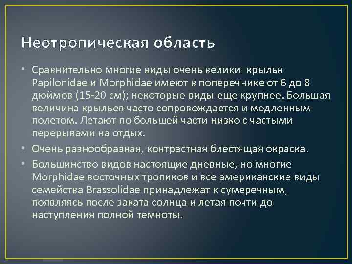 Неотропическая область • Сравнительно многие виды очень велики: крылья Papilonidae и Morphidae имеют в