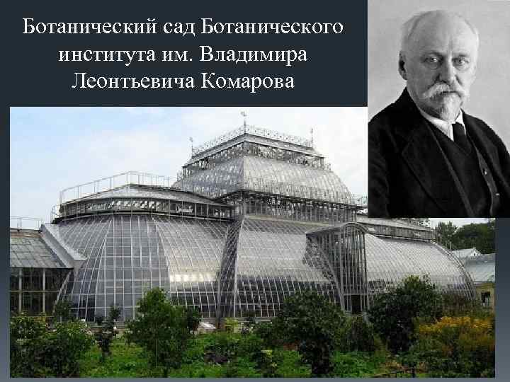 Ботанический сад Ботанического института им. Владимира Леонтьевича Комарова 