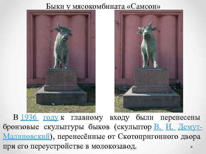 Быки у мясокомбината «Самсон» В 1936 году к главному входу были перенесены бронзовые скульптуры