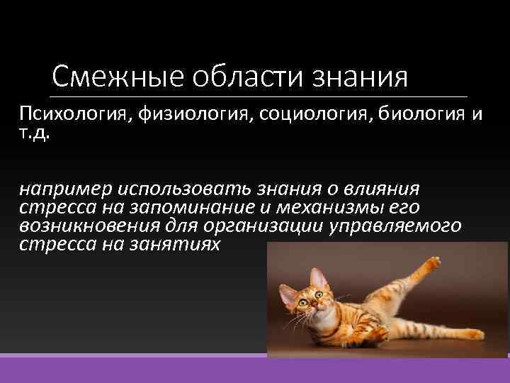 Смежные области знания Психология, физиология, социология, биология и т. д. например использовать знания о