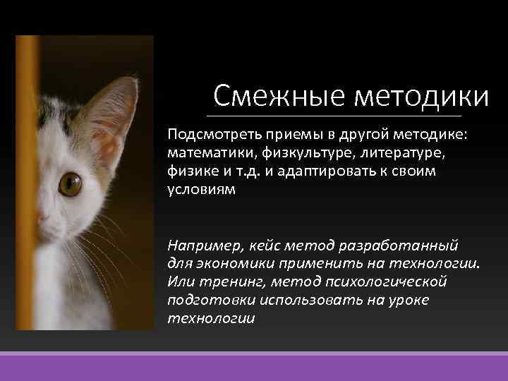 Смежные методики Подсмотреть приемы в другой методике: математики, физкультуре, литературе, физике и т. д.