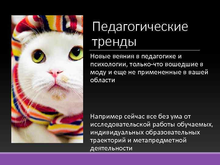 Педагогические тренды Новые веяния в педагогике и психологии, только-что вошедшие в моду и еще