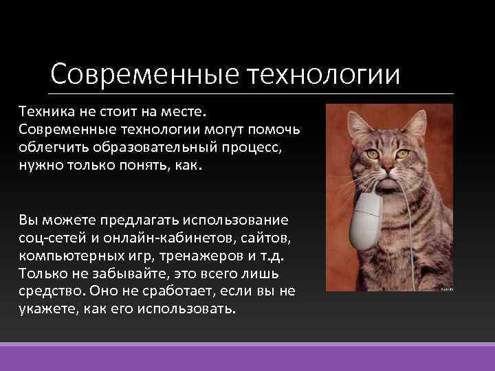 Современные технологии Техника не стоит на месте. Современные технологии могут помочь облегчить образовательный процесс,