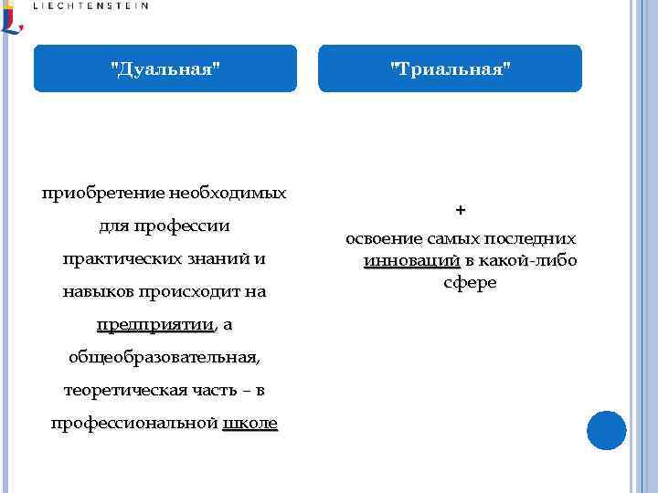 Дуальный. Триальная система образования.