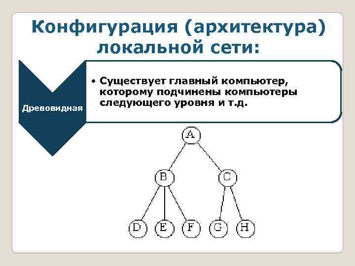 Конфигурация (архитектура) локальной сети: Древовидная • Существует главный компьютер, которому подчинены компьютеры следующего уровня