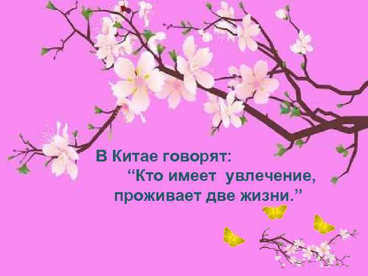 В Китае говорят: “Кто имеет увлечение, проживает две жизни. ” 