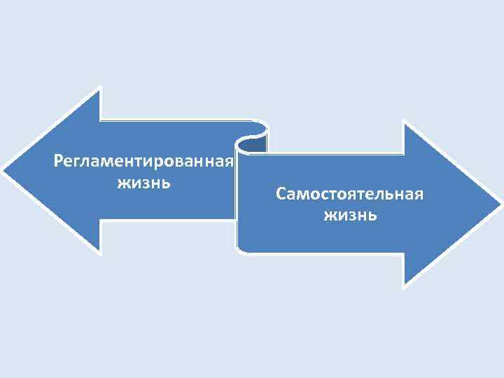 Регламентированная жизнь Самостоятельная жизнь 