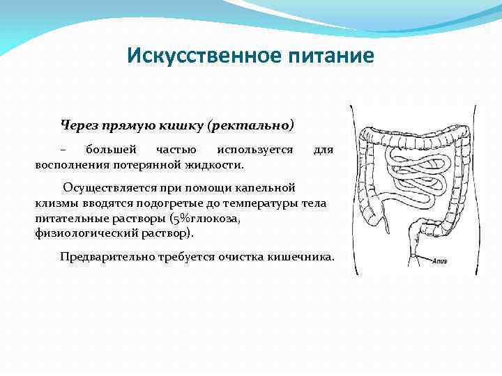 Искусственное питание Через прямую кишку (ректально) – большей частью используется восполнения потерянной жидкости. для