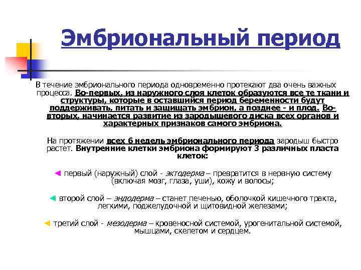 Эмбриональный период В течение эмбрионального периода одновременно протекают два очень важных процесса. Во-первых, из