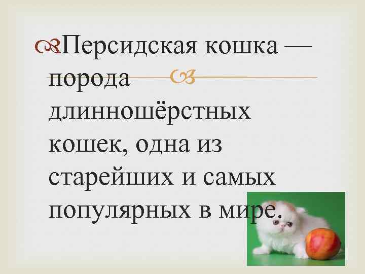  Персидская кошка — порода длинношёрстных кошек, одна из старейших и самых популярных в