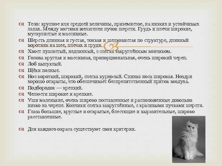  Тело: крупное или средней величины, приземистое, на низких и устойчивых лапах. Между когтями