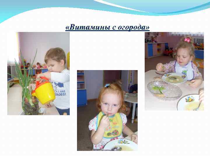  «Витамины с огорода» 