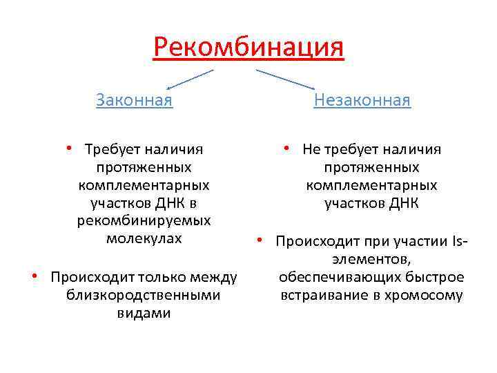 Рекомбинация Законная Незаконная • Требует наличия протяженных комплементарных участков ДНК в рекомбинируемых молекулах •