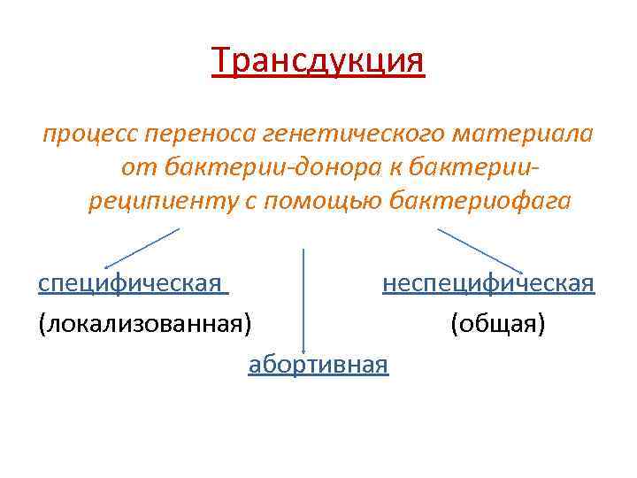 Трансдукция процесс переноса генетического материала от бактерии-донора к бактерииреципиенту с помощью бактериофага специфическая неспецифическая