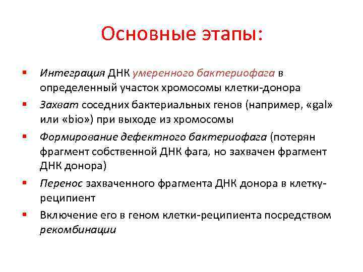 Основные этапы: § § § Интеграция ДНК умеренного бактериофага в определенный участок хромосомы клетки-донора