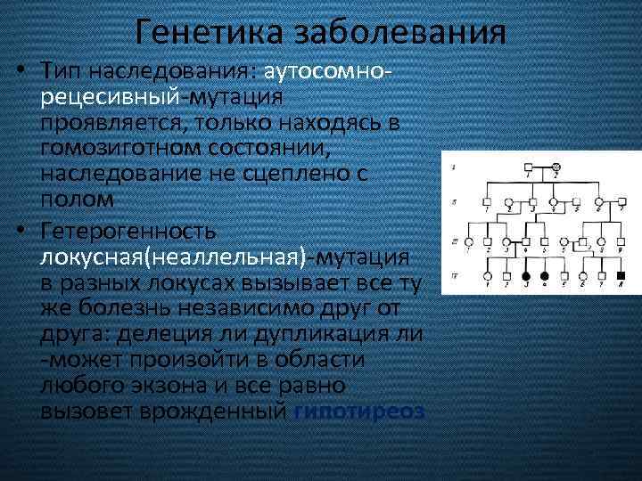 Генетика заболевания • Тип наследования: аутосомнорецесивный-мутация проявляется, только находясь в гомозиготном состоянии, наследование не