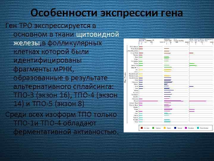 Особенности экспрессии гена Ген TPO экспрессируется в основном в ткани щитовидной железы, в фолликулярных