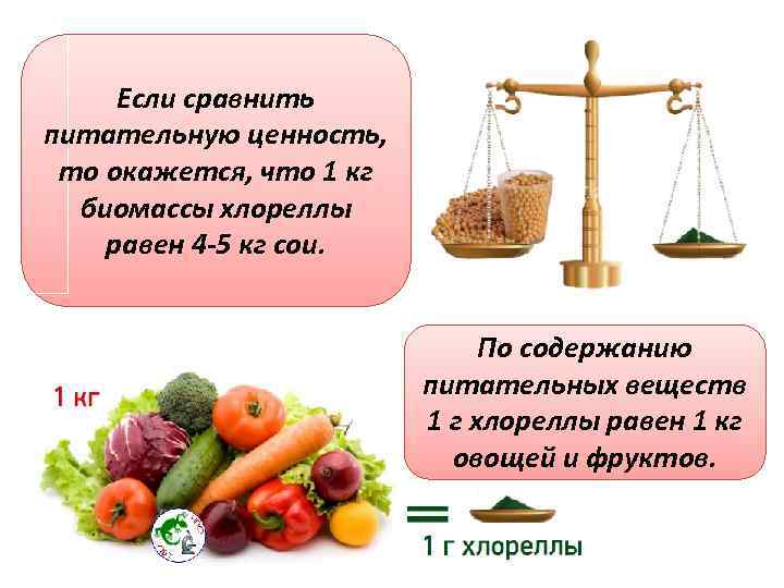 Если сравнить питательную ценность, то окажется, что 1 кг биомассы хлореллы равен 4 -5