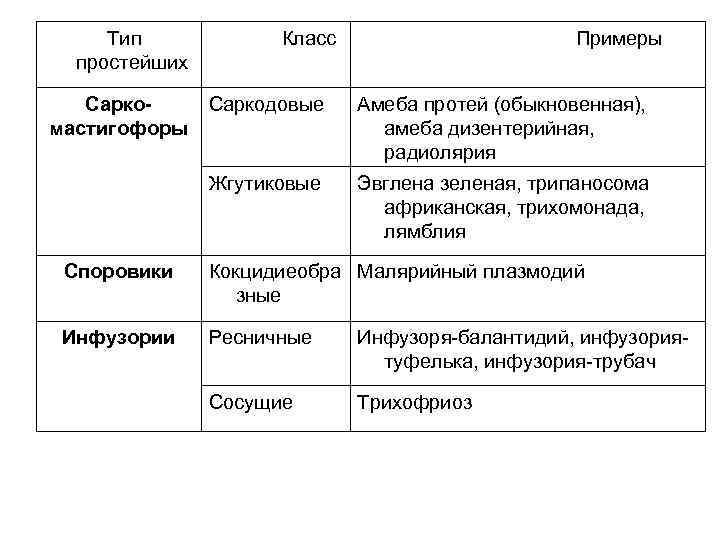  Тип простейших Класс Примеры Саркодовые мастигофоры Амеба протей (обыкновенная), амеба дизентерийная, радиолярия Жгутиковые