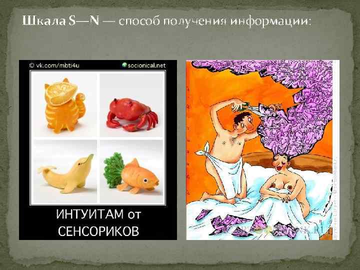 Шкала S—N — способ получения информации: 