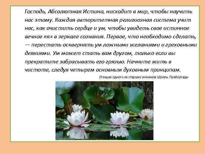  Господь, Абсолютная Истина, нисходит в мир, чтобы научить нас этому. Каждая авторитетная религиозная