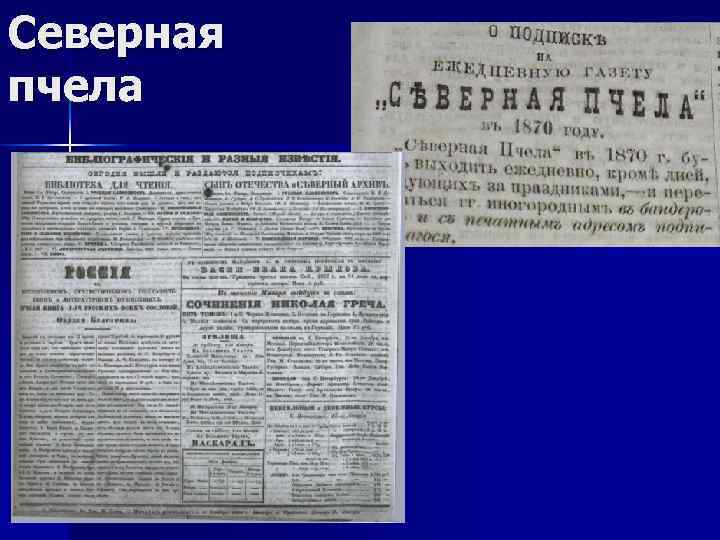 Северная пчела 