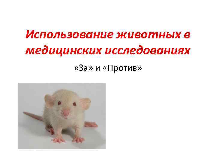 Использование животных в медицинских исследованиях «За» и «Против» 