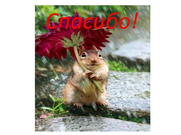 Спасибо! 
