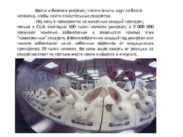 Врачи и биологи уверяют, что эти опыты идут на благо человека, чтобы найти спасительные