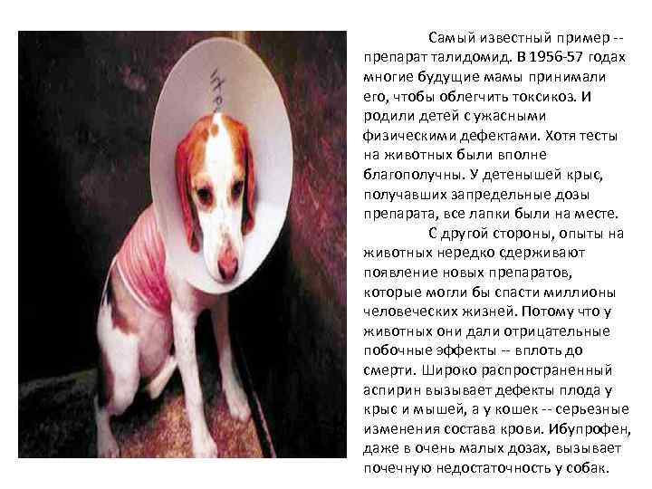 Самый известный пример -препарат талидомид. В 1956 -57 годах многие будущие мамы принимали его,
