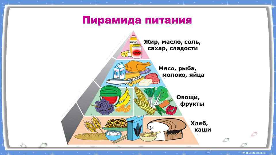 Пирамида питания 