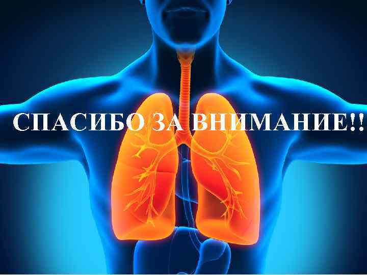 Бронхолегочные заболевания реабилитация. Заболевания органов дыхания. Профилактика заболеваний дыхательной системы. Заболевания дыхательной системы человека.