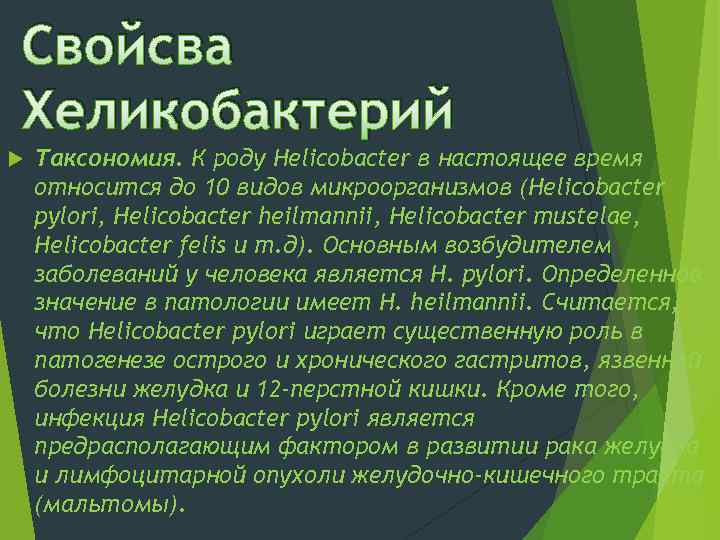 Свойсва Хеликобактерий Таксономия. К роду Helicobacter в настоящее время относится до 10 видов микроорганизмов