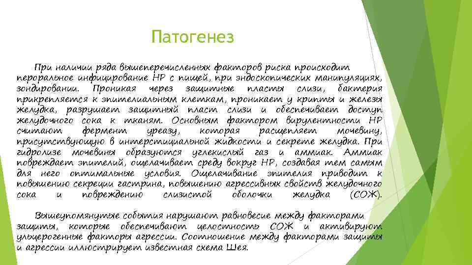 Патогенез При наличии ряда вышеперечисленных факторов риска происходит пероральное инфицирование HP с пищей, при